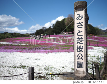 みさと芝桜公園 みさと芝桜公園 101645442