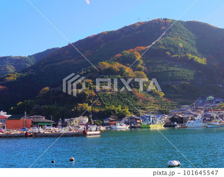 三瓶湾(愛媛県西予市三瓶町) 三瓶湾(愛媛県西予市三瓶町) 101645547
