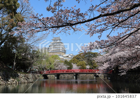 姫路城と満開の桜05 姫路城と満開の桜05 101645837