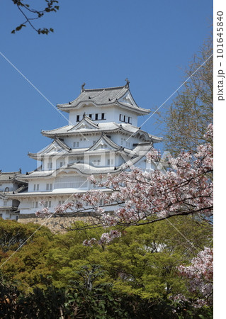 姫路城と満開の桜08 姫路城と満開の桜08 101645840