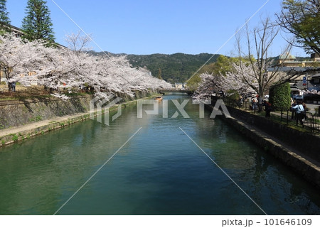 慶流橋から眺めた広道橋の遠景と岡崎疎水(琵琶湖疎水)と桜の風景 慶流橋から眺めた広道橋の遠景と岡崎疎水(琵琶湖疎水)と桜の風景 101646109