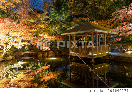 《東京都》秋の紅葉ライトアップ・大田黒公園 101646371
