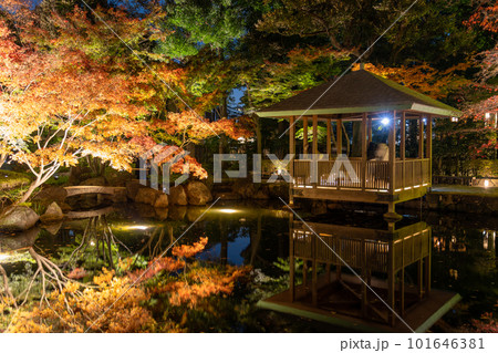 《東京都》秋の紅葉ライトアップ・大田黒公園 《東京都》秋の紅葉ライトアップ・大田黒公園 101646381
