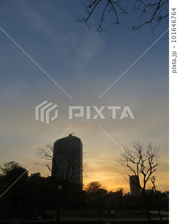 夕日に照らされる高層ビル 101646764