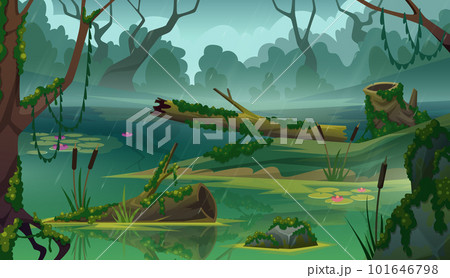 Cartoon forest background. Green moss in wood exact vector landscape 101646798