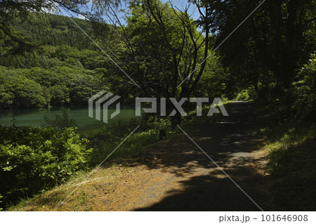 鴫の谷地沼 鴫の谷地沼 101646908