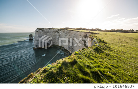 Old Harry Rocks in Dorset England. Aerial panoramic view of coastlie. White cliffs. English tourist attraction. Sunny day on the beach. 101646937