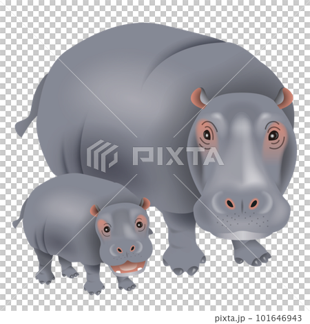 カバのイラスト カバのイラスト 101646943
