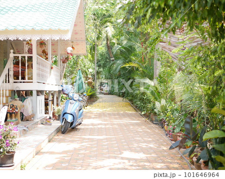 白い家とスクーターと小路 101646964