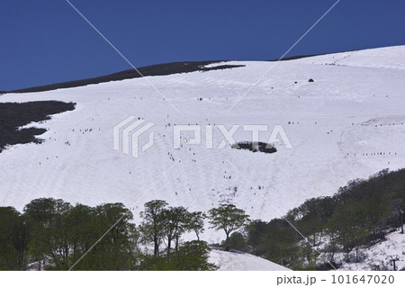 月山スキー場 月山スキー場 101647020