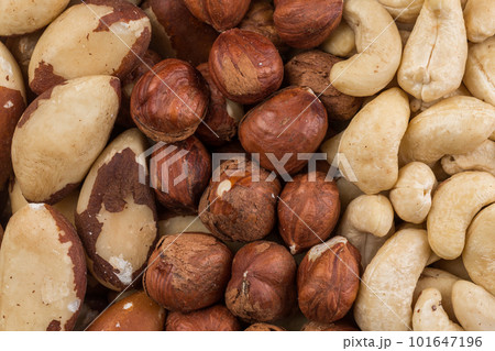 Variety of Mixed Nuts Variety of Mixed Nuts 101647196