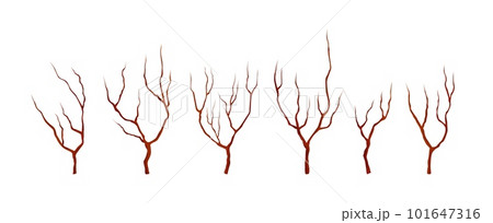 Bare tree, branches without leaves or flowers. Autumn trees, nature forest winter landscape graphic elements. Vector isolated branch Bare tree, branches without leaves or flowers. Autumn trees, nature forest winter landscape graphic elements. Vector isolated branch 101647316