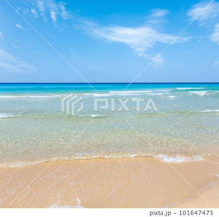 Sea surf on beach. 101647475