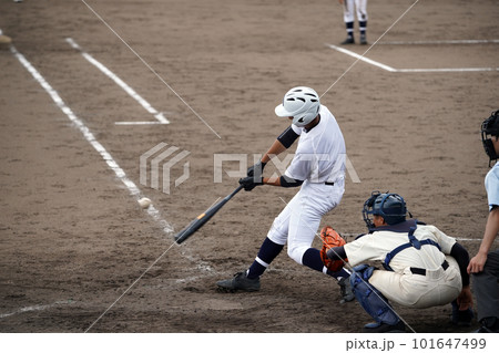 ローボールを打ち返す左バッター（高校野球） 101647499