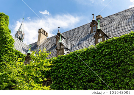Magdeburg gothic medieval cathedral Dom church slate tile roof and green fresh Ivy covered old stone wall against clear blue sky sunny day. Plunt creeper overgrown building facade with rooftop window Magdeburg gothic medieval cathedral Dom church slate tile roof and green fresh Ivy covered old stone wall against clear blue sky sunny day. Plunt creeper overgrown building facade with rooftop window 101648005