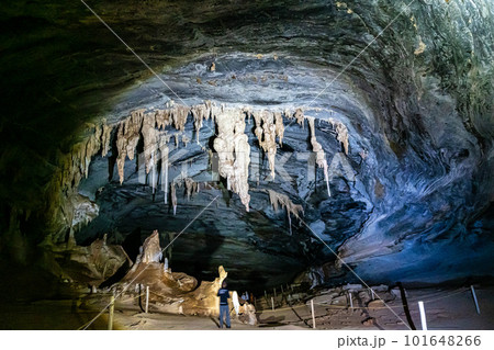 Limestone cave of stalactite and stalagmite formations, Gruta da Lapa Doce Cave, Chapada Diamantina in Bahia, Brazil. 101648266