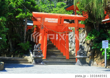 【宮崎県】晴天の鵜戸神宮(うど神宮)鵜戸稲荷神社 【宮崎県】晴天の鵜戸神宮(うど神宮)鵜戸稲荷神社 101648591