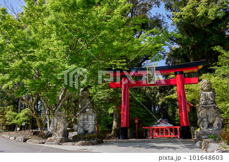 「焼酎」文字日本最古 郡山八幡神社 「焼酎」文字日本最古 郡山八幡神社 101648603