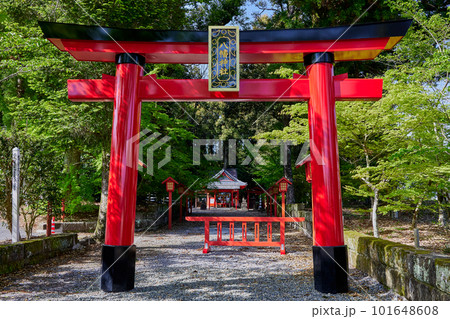 「焼酎」文字日本最古　郡山八幡神社 101648608