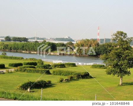 江戸川河川敷 柴又公園 江戸川河川敷 柴又公園 101648846