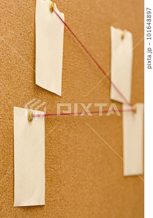 Blank paper notes are pinned to a cork board. The concept of detective investigation. Copy space. 101648897
