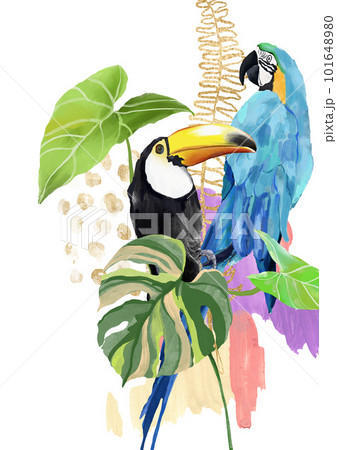 Acrylic abstract tropical poster of plants, toucan and parrot. Hand drawn card of bird, monstera and lines. Floral illustration isolated on white background for design, print or background. Acrylic abstract tropical poster of plants, toucan and parrot. Hand drawn card of bird, monstera and lines. Floral illustration isolated on white background for design, print or background. 101648980