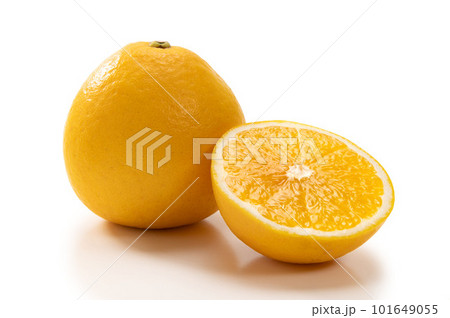 柑橘類のフルーツ、美生柑 101649055