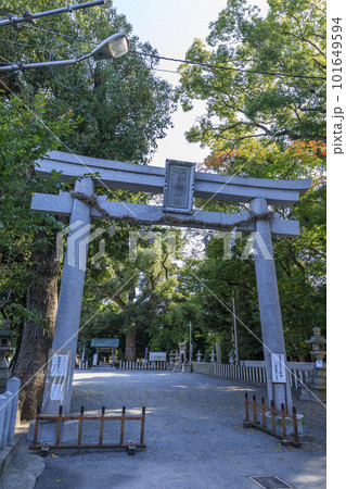 大阪府泉大津市　曽禰神社の一の鳥居 101649594