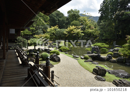 表書院から見た三宝院　醍醐寺 101650218