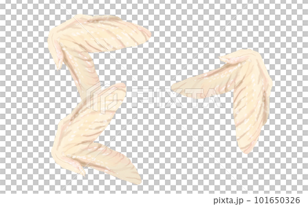 日常の食品シリーズ鶏肉　手羽先3本 101650326