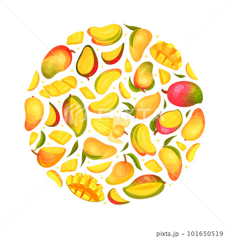 Ripe Mango Round Composition Design with Bright Tropical Fruit Vector Template Ripe Mango Round Composition Design with Bright Tropical Fruit Vector Template 101650519