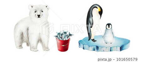 Watercolor king penguin family on an ice floe, polar bear and a bucket of fish isolated. Hand painting realistic Arctic and Antarctic ocean mammals. For designers, decoration, postcards, wrapping 101650579