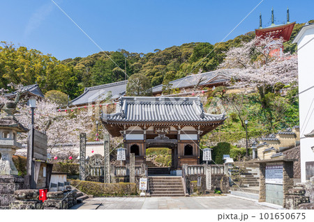 【第23番札所】春の薬王寺　仁王門【四国八十八箇所】 101650675