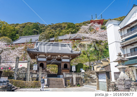 【第23番札所】春の薬王寺　仁王門【四国八十八箇所】 101650677