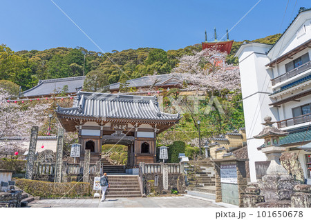 【第23番札所】春の薬王寺 仁王門【四国八十八箇所】 【第23番札所】春の薬王寺 仁王門【四国八十八箇所】 101650678