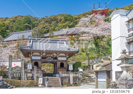 【第23番札所】春の薬王寺　仁王門【四国八十八箇所】 101650679