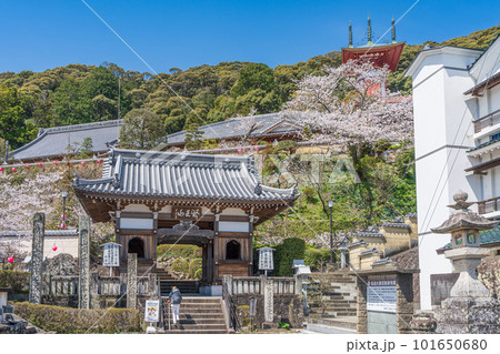 【第23番札所】春の薬王寺　仁王門【四国八十八箇所】 101650680
