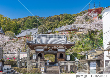 【第23番札所】春の薬王寺 仁王門【四国八十八箇所】 【第23番札所】春の薬王寺 仁王門【四国八十八箇所】 101650683