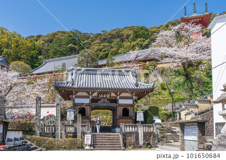 【第23番札所】春の薬王寺　仁王門【四国八十八箇所】 101650684
