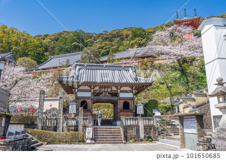 【第23番札所】春の薬王寺 仁王門【四国八十八箇所】 【第23番札所】春の薬王寺 仁王門【四国八十八箇所】 101650685