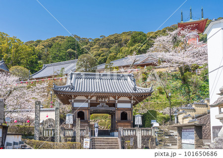 【第23番札所】春の薬王寺 仁王門【四国八十八箇所】 【第23番札所】春の薬王寺 仁王門【四国八十八箇所】 101650686