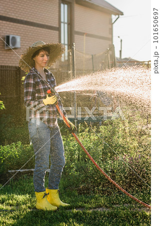 Woman gardener in work clothes watering the beds in her vegetable garden on sunny warm summer day. Concept of working in the garden and your farm 101650697