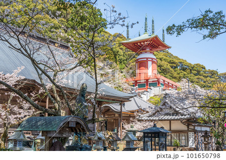 【第23番札所】春の薬王寺　本堂と瑜祇塔【四国八十八箇所】 101650798