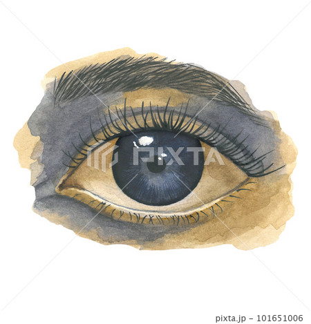 Watercolor eye on a transparent background, the illustration is made by hand 101651006
