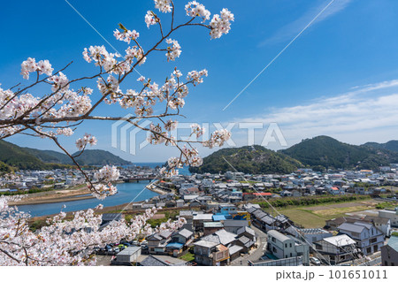 【第23番札所】薬王寺の桜【四国八十八箇所】 101651011