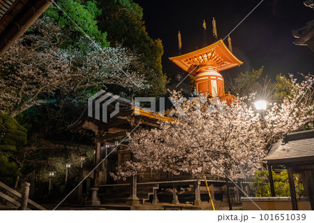 【第23番札所】ライトアップされた薬王寺 瑜祇塔【四国八十八箇所】 【第23番札所】ライトアップされた薬王寺 瑜祇塔【四国八十八箇所】 101651039