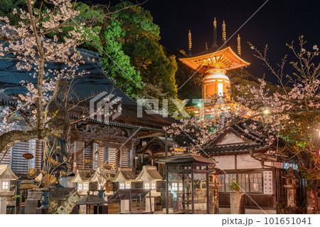 【第23番札所】ライトアップされた薬王寺　瑜祇塔【四国八十八箇所】 101651041