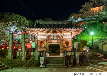 【第23番札所】ライトアップされた薬王寺 仁王門【四国八十八箇所】 【第23番札所】ライトアップされた薬王寺 仁王門【四国八十八箇所】 101651059