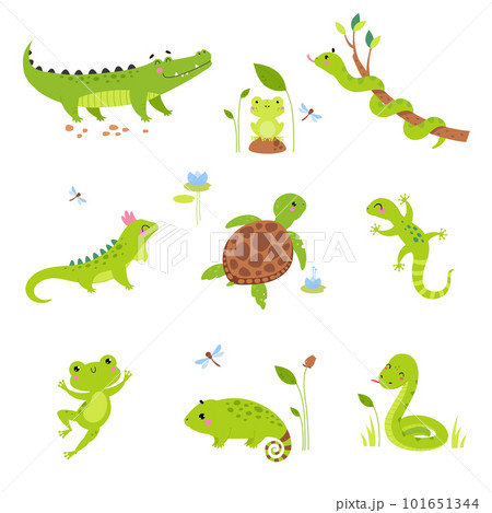 Happy Green Animals with Turtle, Frog, Snake, Iguana and Chameleon Vector Set 101651344