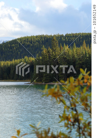 カナダの観光地ジャスパー国立公園のマリーン湖で美しい紅葉と雪景色 101652149